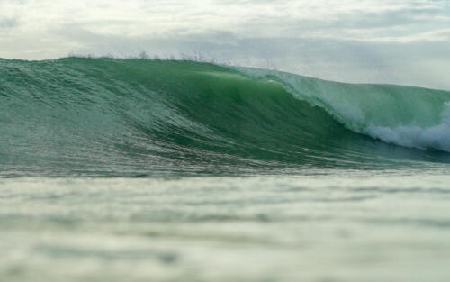 DSC00465 2 - Roberto Castro